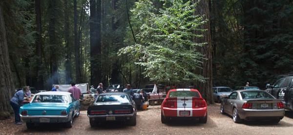 Sonoma County Mustang Club-Armstrong Woods Picnic-img_4830.jpg