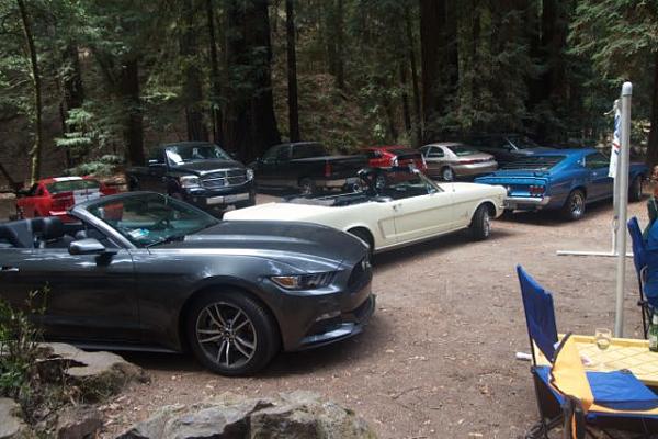 Sonoma County Mustang Club-Armstrong Woods Picnic-img_4824.jpg