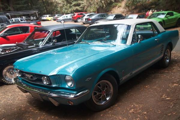 Sonoma County Mustang Club-Armstrong Woods Picnic-img_4828.jpg