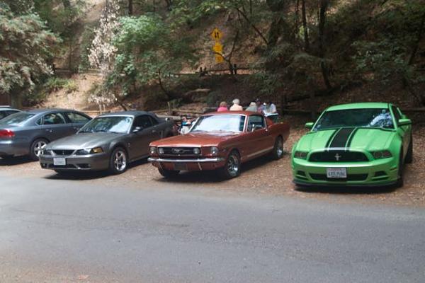 Sonoma County Mustang Club-Armstrong Woods Picnic-img_4829.jpg