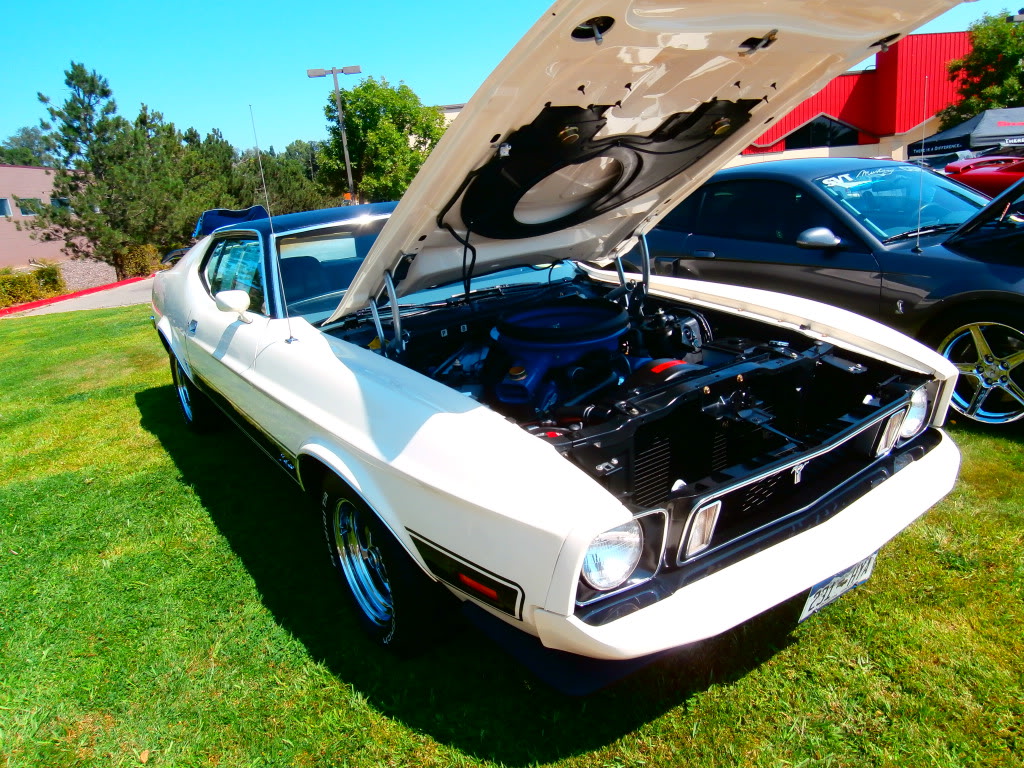 Name:  003-17.jpg
Views: 29
Size:  277.8 KB