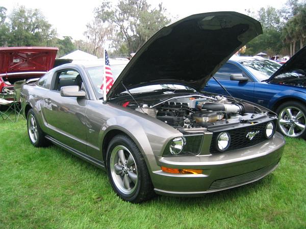 Silver Springs Pixs-142_4252_c.jpg