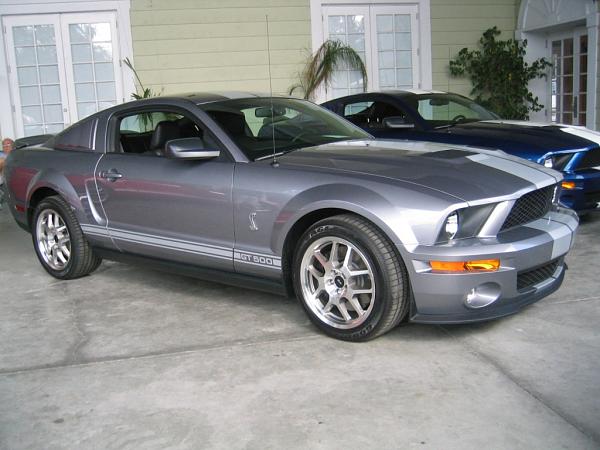 Silver Springs Pixs-142_4263_c.jpg