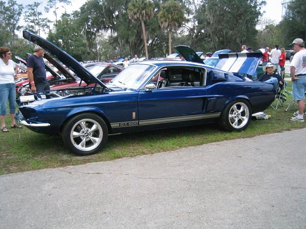 Silver Springs Pixs-142_4265_c.jpg