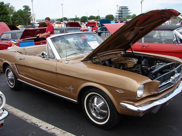 Mustang and All Ford Show-dsc01043.jpg