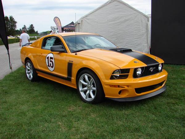 Mustang and All Ford Show-dsc01052.jpg