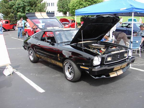 Mustang and All Ford Show-dsc01061.jpg