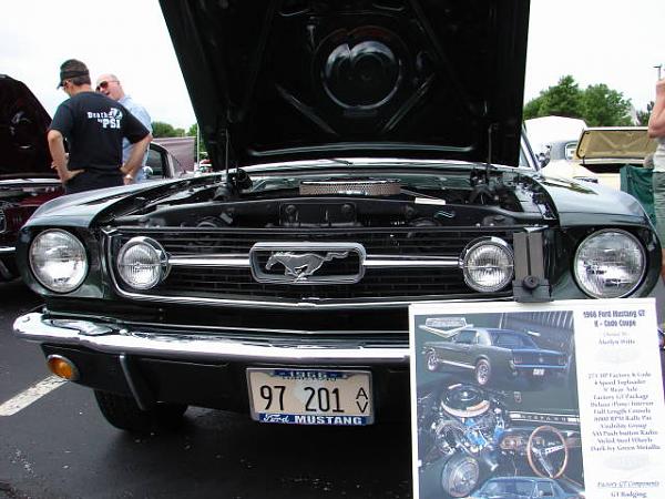 Mustang and All Ford Show-dsc01041.jpg