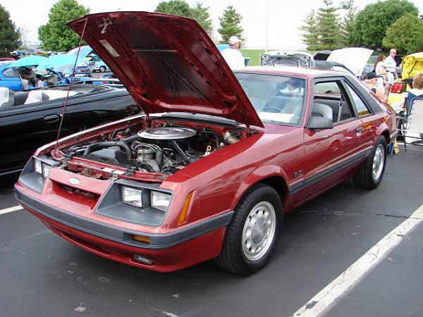 Mustang and All Ford Show-dsc01050.jpg