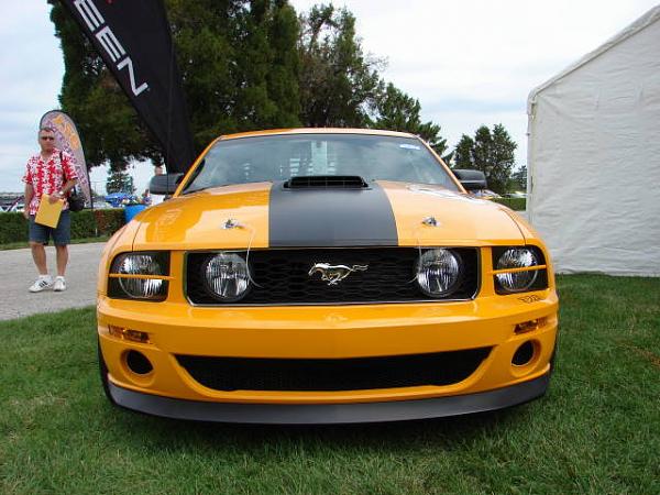 Mustang and All Ford Show-dsc01059.jpg