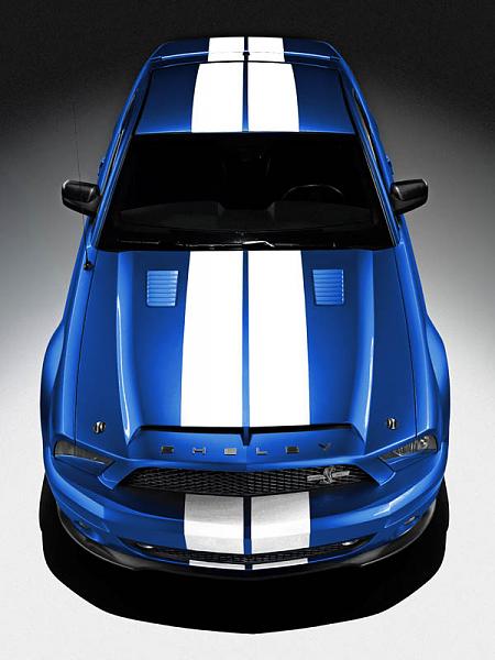Ford Shelby GT500KR &#8216;King Of The Road&#8217; Returns in 2008-gt500kr_b.jpg