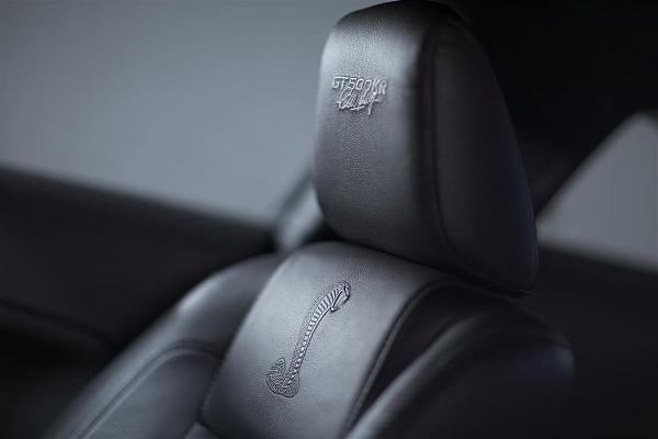 New Photos: GT500 KR-08fordshelbygt500kr_10.jpg