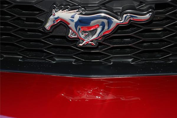 Under Lights-226.jpg