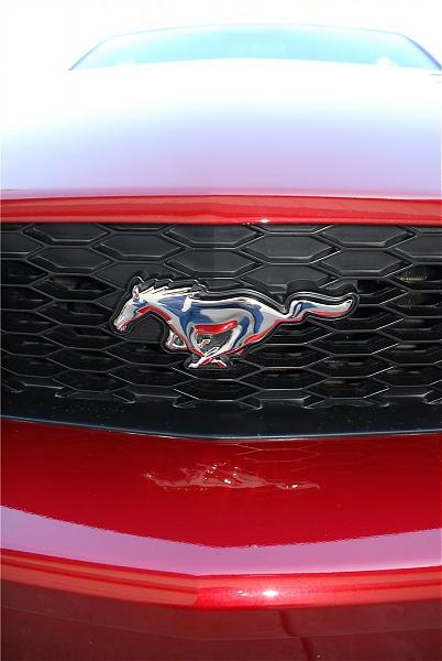 Under Lights-227.jpg