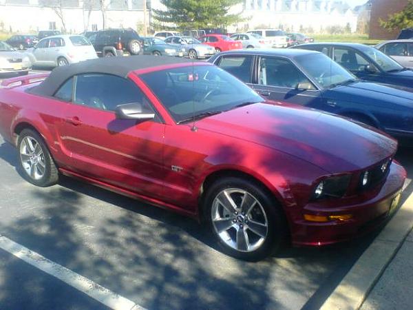 Where are all the Candy Apple Red 'Stangs?-mustang.jpg