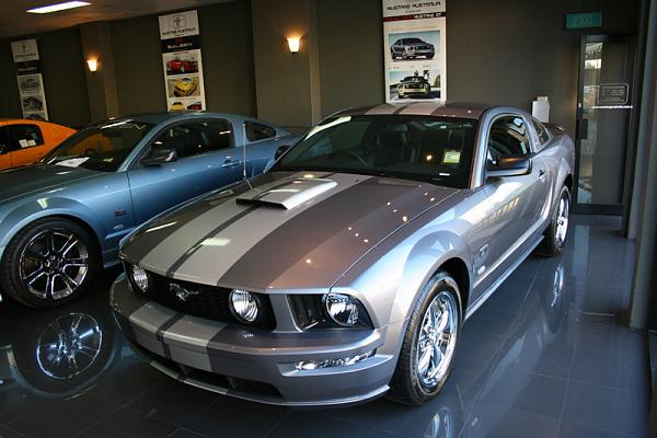 General Chat-stang-2.jpg