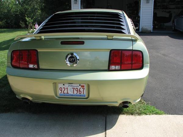 General Chat-img_1737furear111111111.jpg