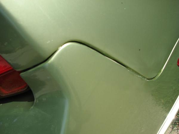 General Chat-img_1739fummmmmmmmmclose-up.jpg