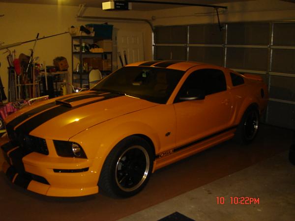 General Chat-dsc00650.jpg