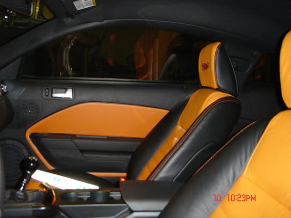 General Chat-dsc00653.jpg