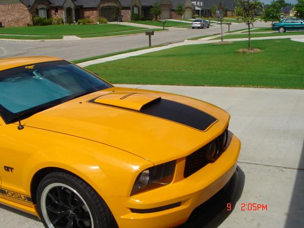 Exterior Modifications-dsc00702.jpg