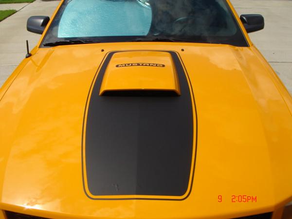 Exterior Modifications-dsc00703.jpg