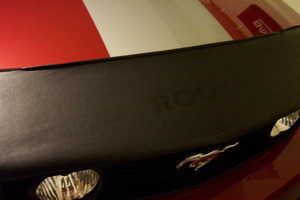 Exterior Modifications-picture-3121.jpg