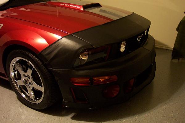 Exterior Modifications-bra-3.jpg