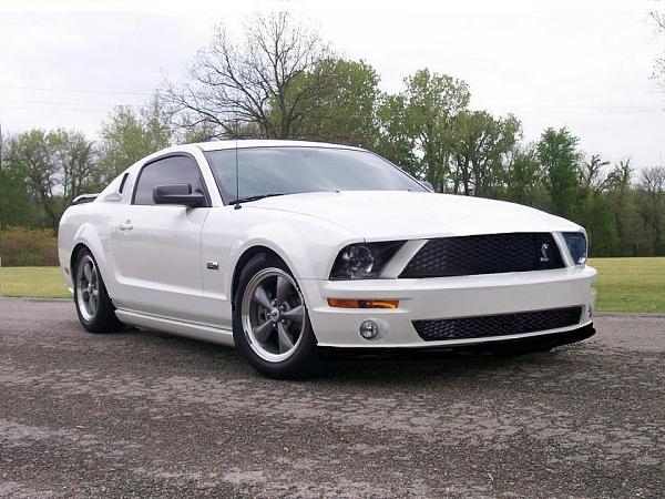 General Chat-shelby-front-end-3.jpg