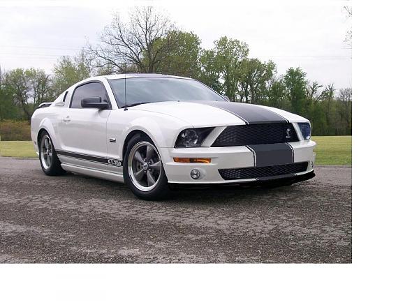 General Chat-shelby-front-end-2.jpg