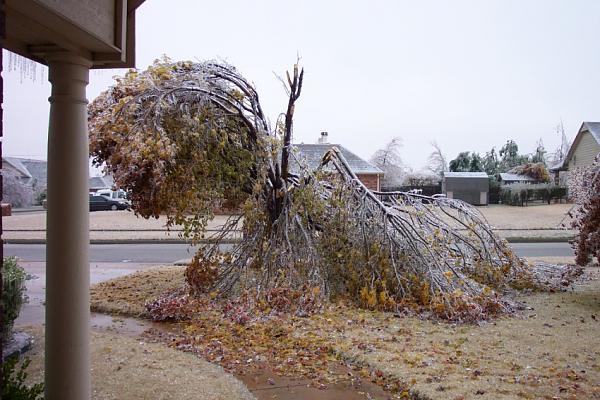 General Chat-storm.jpg