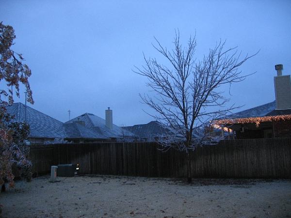 General Chat-maple.jpg