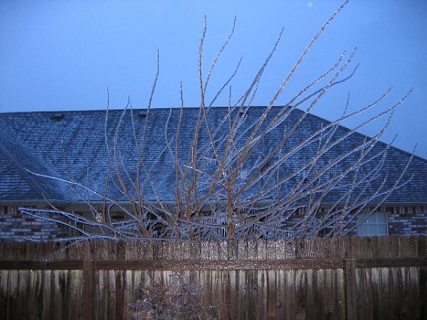 General Chat-ice-1.jpg