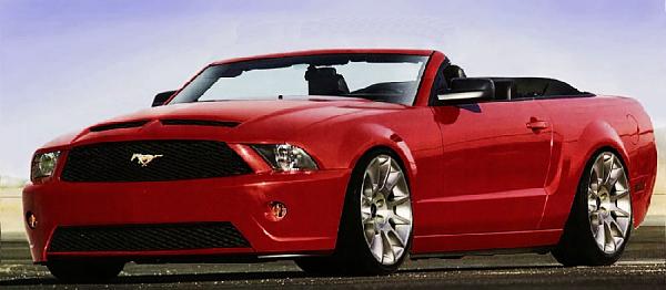 Exterior Modifications-muscularmustang.jpg