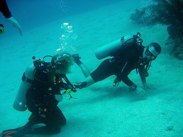 General Chat-trac-matt-95ft.jpg