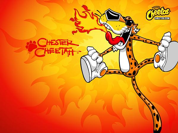 Official Picture Thread-chester.jpg