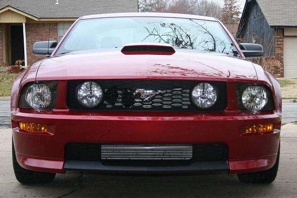 General Chat-mustang2-001.jpg