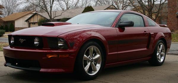 General Chat-mustang2-005.jpg