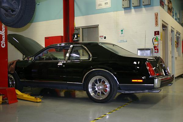 General Chat-img_2368.jpg