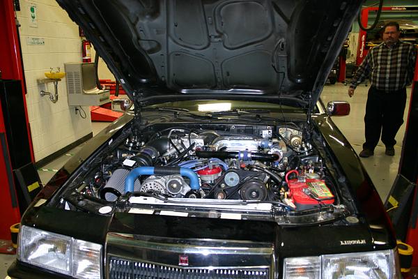 General Chat-img_2369.jpg