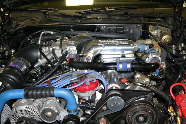 General Chat-img_2370.jpg