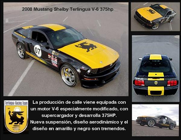 The Shelby Terlingua Mustang .-314409_212639492196866_1719307363_n.jpg
