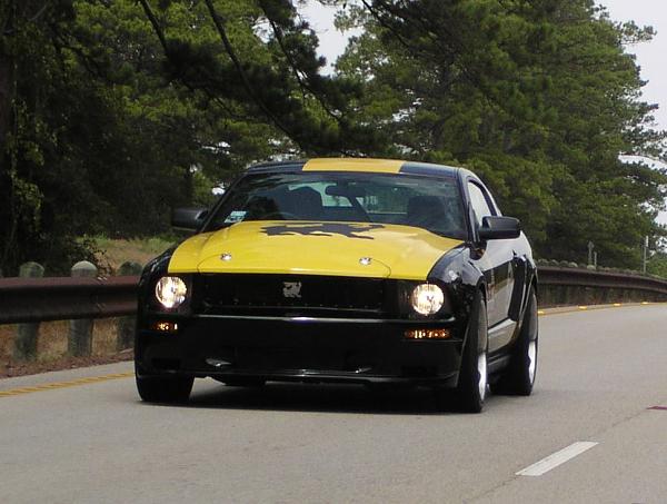 The Shelby Terlingua Mustang .-414451_501146949904363_2117813875_o.jpg