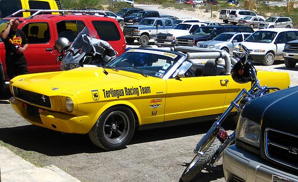 The Shelby Terlingua Mustang .-3435982650_60eda99648_z.jpg