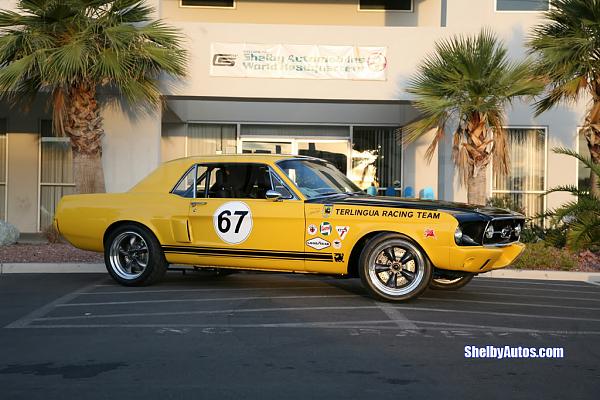 The Shelby Terlingua Mustang .-teroldmustang03-1024.jpg