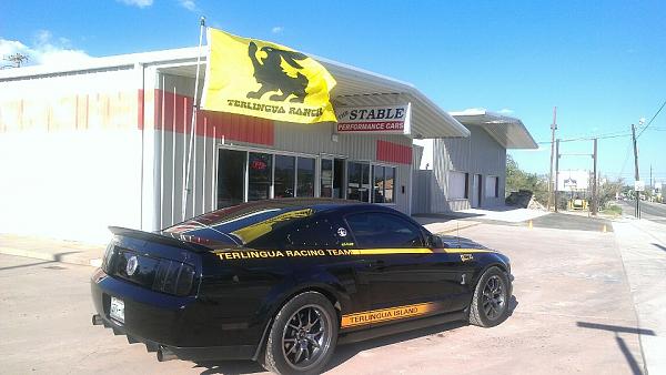 The Shelby Terlingua Mustang .-albanistable.jpg