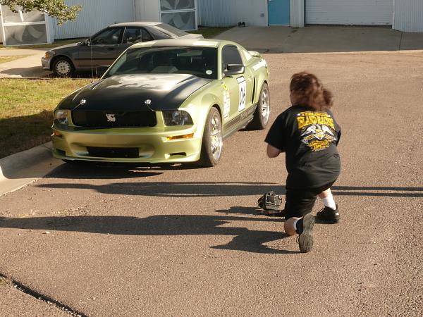 The Shelby Terlingua Mustang .-l1140265.jpg