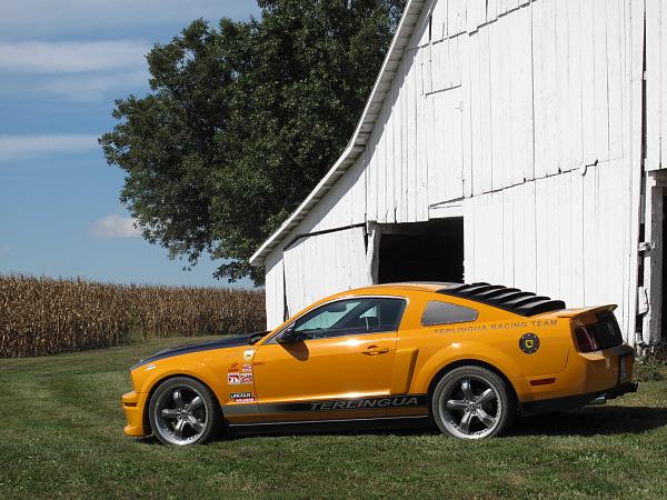 The Shelby Terlingua Mustang .-256365_453534448002000_1474425775_o.jpg