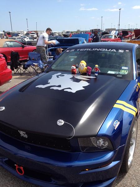 The Shelby Terlingua Mustang .-417849_439950292763168_226576956_n.jpg