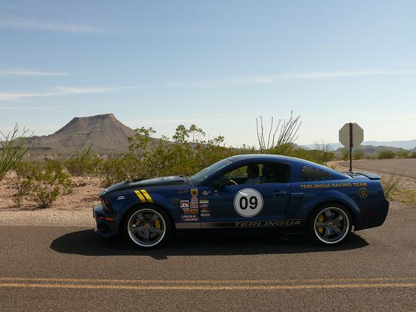 The Shelby Terlingua Mustang .-l1140307.jpg